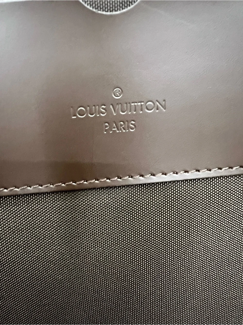 Louis Vuitton Damier Ebene Pegase 50 with hanger, garment bag etc
